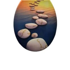 Alternative view of Capac WC Duroplast Soft-Close model Pietre Maro