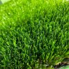Gazon Artificial cu Memorie 35 mm, 2 x 5 m - imagine 2