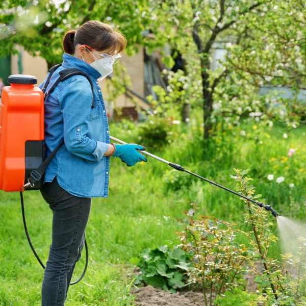 Pompă de Stropit cu acumulator, 16 L - imagine 2