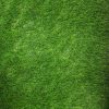 Gazon Artificial cu Memorie 35 mm, 2 x 5 m - imagine 3