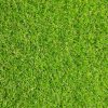 Gazon Artificial Rimini 20 mm, 2 x 5 m - imagine 2
