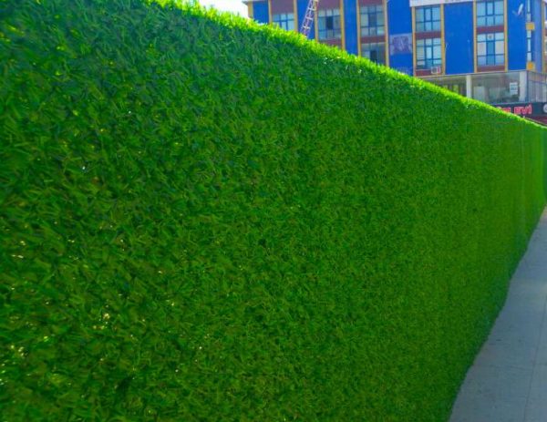 Gard Decorativ 1.5x10m