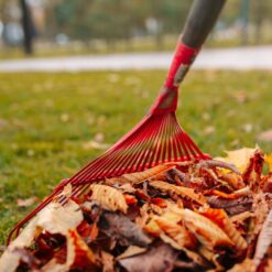 Alternative view of Greblă extra lată roșie pentru frunze