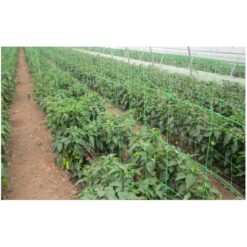 Alternative view of Plasa Sustinere Plante