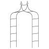 Arcada/Pergola pentru flori 255 x 140 x 38 cm - imagine 2