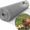 Plasa Rabitz 1 x 25 m, Ochiuri 20 mm