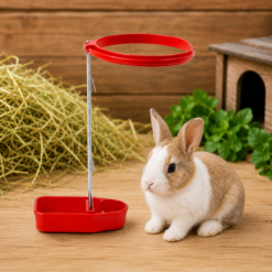 Adăpător cu nivel pentru Iepuri, suport pentru Sticle PET, plastic