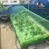 Plasa Otel Plastifiata 1x25 m, Ochiuri 12.7 mm - imagine 3